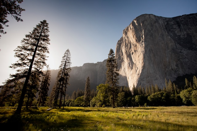 The awe in nature improves mental health｜自然に感じる畏敬の念がメンタルを向上させる