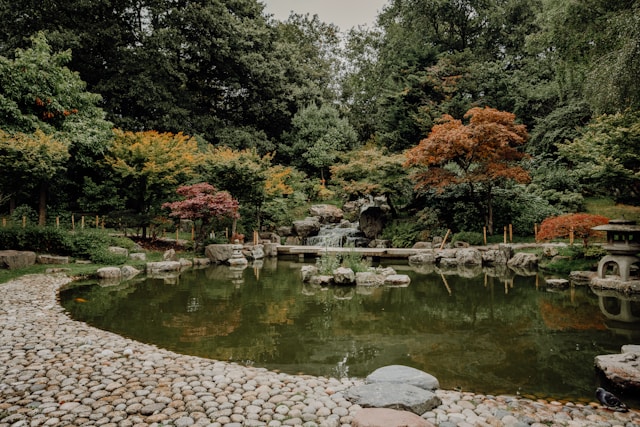 Lesson a Billionaire Receives from a Gardener in Kyoto｜億万長者が受けた京都の庭師のレッスン